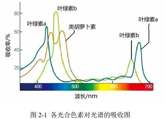 图 2-1 各光合色素对光谱的吸收图